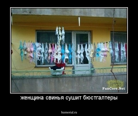 женщина свинья сушит бюстгалтеры