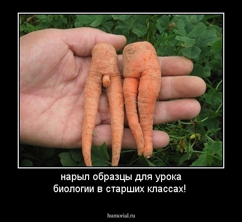 нарыл образцы для урока биологии в старших классах!