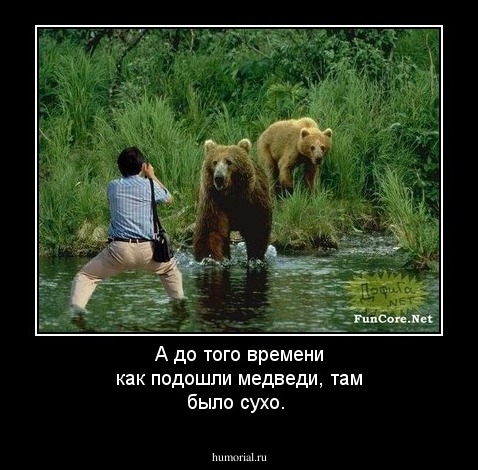 А до того времени как подошли медведи, там было сухо.