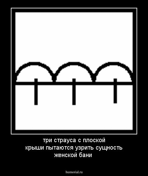 три страуса с плоской крыши пытаются узрить сущность женской бани