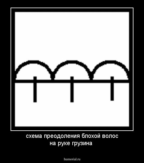 схема преодоления блохой волос на  руке грузина