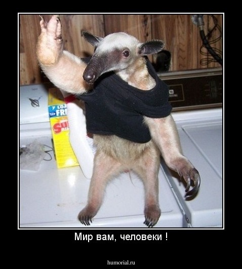 Мир вам, человеки !