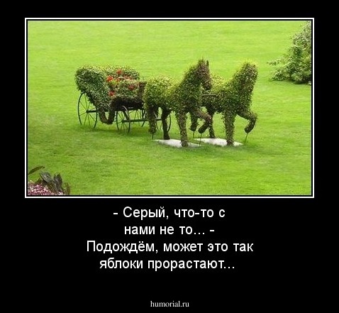 - Серый, что-то с нами не то...
- Подождём, может это  так яблоки  прорастают...