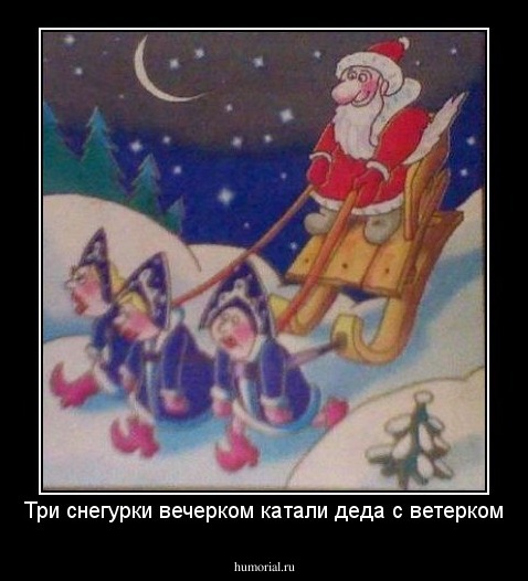 Три снегурки вечерком катали деда с ветерком