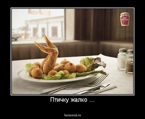 Птичку жалко ...
