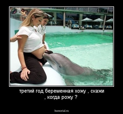 третий год беременная хожу , скажи
, когда рожу ? 