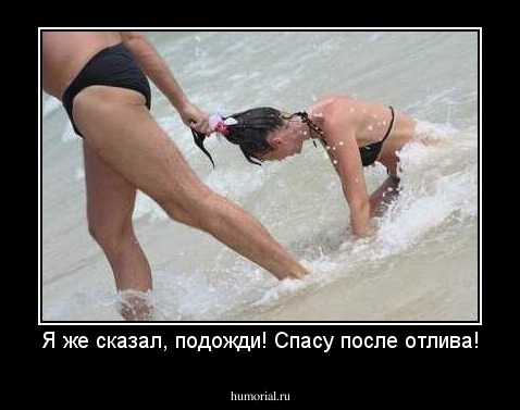 Я же сказал, подожди! Спасу после отлива!