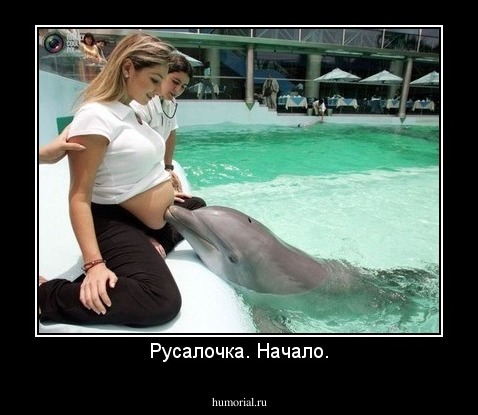 Русалочка. Начало.