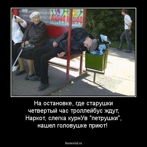 На остановке, где старушки четвертый час троллейбус ждут, Наркот, слегка курнУв "петрушки", нашел головушке приют!