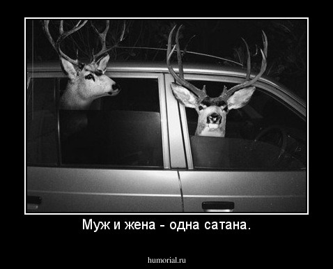 Муж и жена - одна сатана.