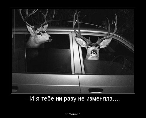 - И я тебе ни разу не изменяла....