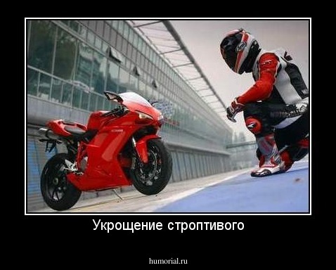 Укрощение строптивого