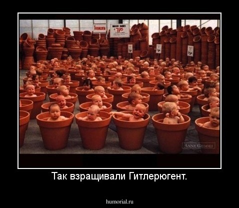 Так взращивали Гитлерюгент.