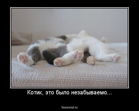 Котик, это было незабываемо...