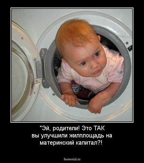 "Эй, родители! Это ТАК вы улучшили жилплощадь на материнский капитал?!