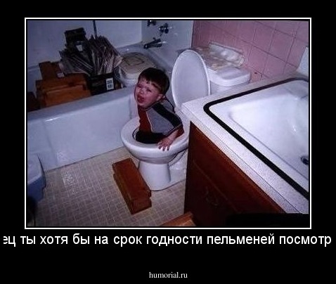 -Отец ты хотя бы на срок годности пельменей посмотрел!!!