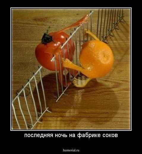 последняя ночь на фабрике соков