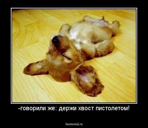 -говорили же: держи хвост пистолетом!