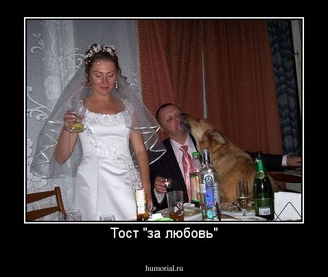 Тост "за любовь"