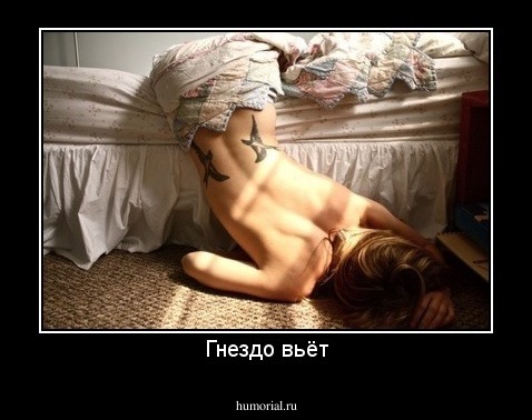 Гнездо вьёт
