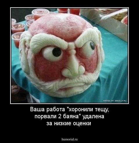 Ваша работа "хоронили тещу, порвали 2 баяна" удалена за низкие оценки