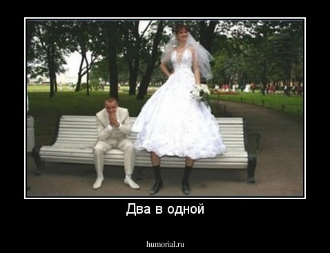 Два в одной