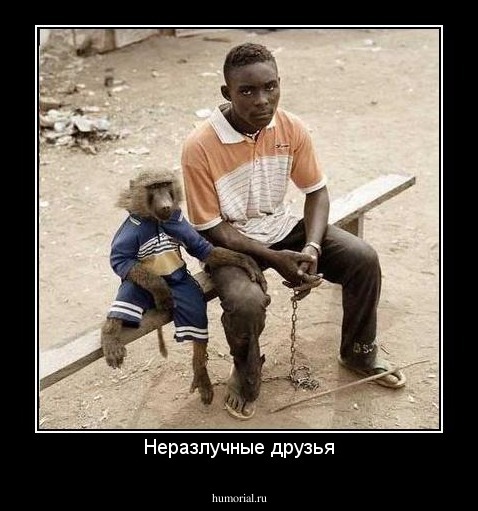 Неразлучные друзья