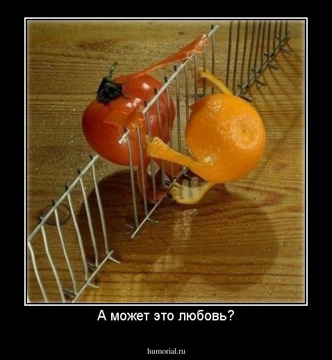 А может это любовь?