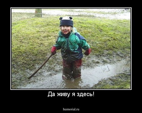 Да живу я здесь!