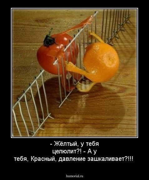 - Жёлтый, у тебя целюлит?!
- А у тебя, Красный, давление зашкаливает?!!!