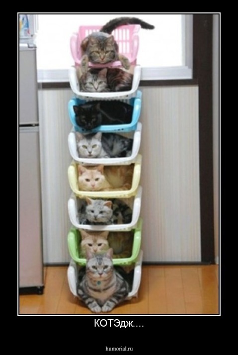 КОТЭдж....
