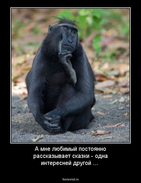 А мне любимый  постоянно рассказывает сказки - одна интересней другой ...