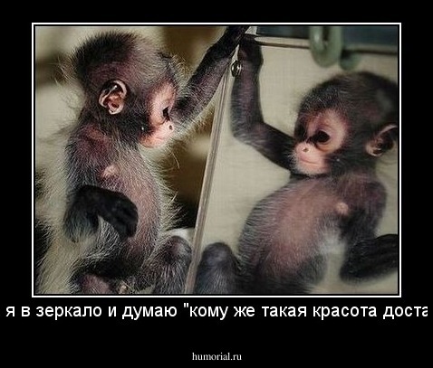 Смотрю я в зеркало и думаю ...."кому же такая красота достанется..."