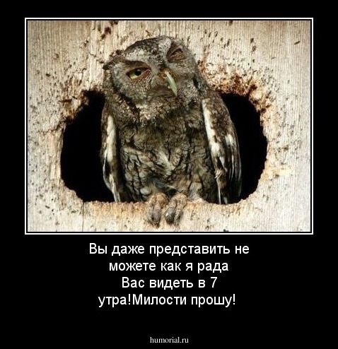 Вы даже представить не можете как я рада Вас видеть в 7 утра!Милости прошу!