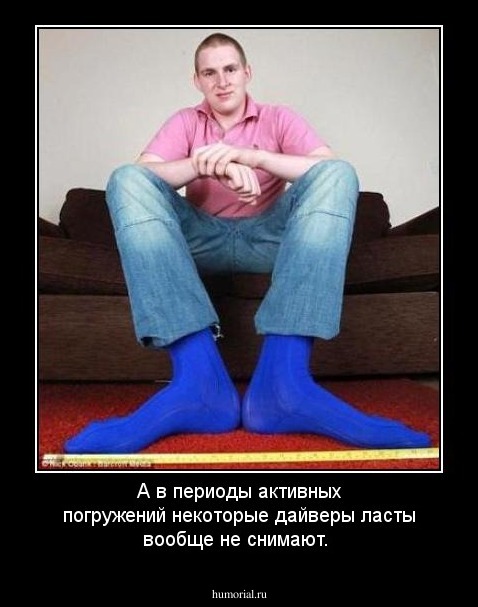 А в периоды активных погружений некоторые дайверы ласты вообще не снимают.