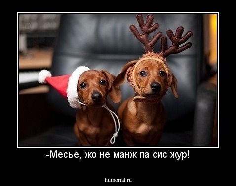 -Месье, жо не манж па сис жур!