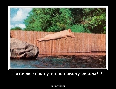 Пяточек, я пошутил по поводу бекона!!!!!