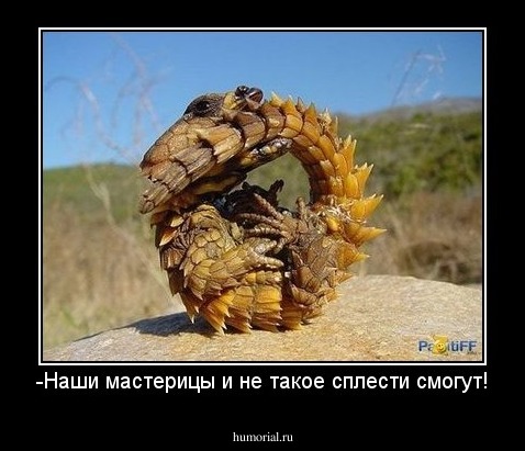 -Наши мастерицы и не такое сплести смогут!