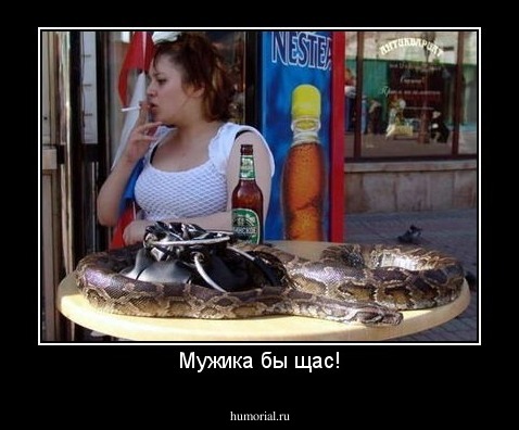 Мужика бы щас!