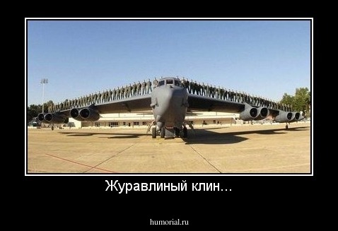 Журавлиный клин...