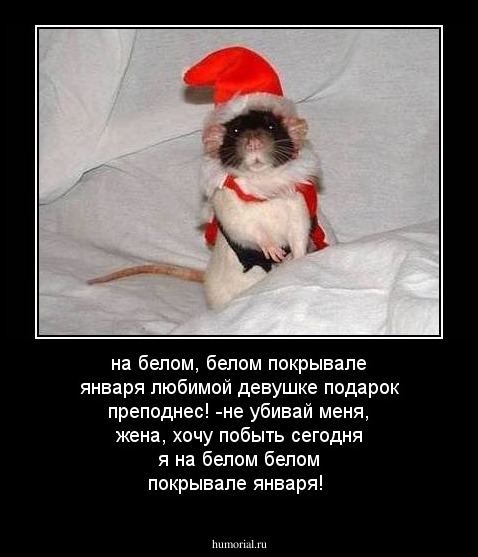 на белом, белом покрывале января любимой девушке подарок преподнес!
-не убивай меня, жена, хочу побыть сегодня я на белом белом покрывале января!