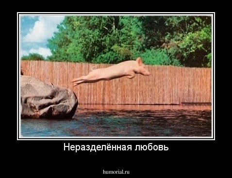 Неразделённая любовь