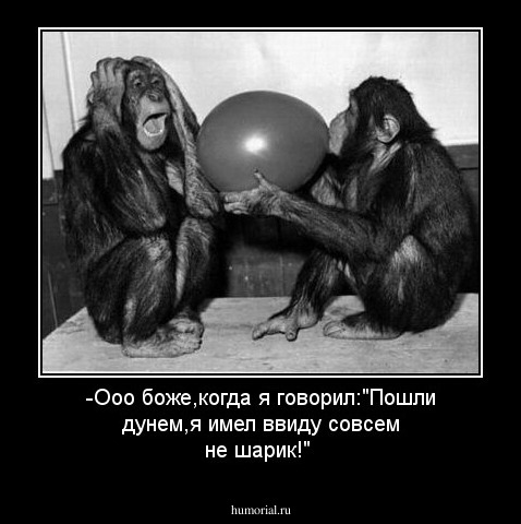 -Ооо боже,когда я говорил:"Пошли дунем,я имел ввиду совсем не шарик!"