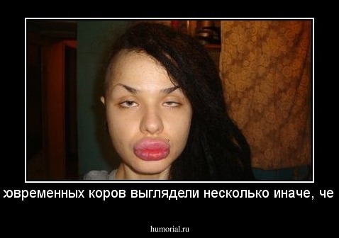 Предки современных коров выглядели несколько иначе, чем сейчас