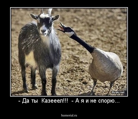 - Да ты  Казееел!!!  - А я и не спорю...