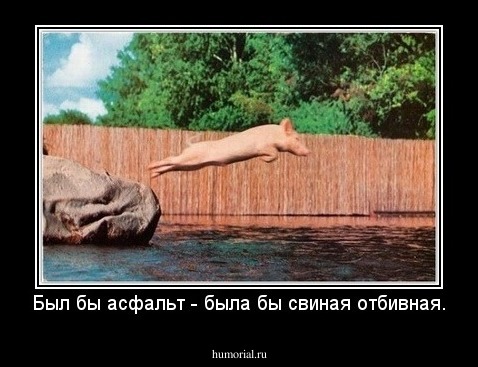 Был бы асфальт - была бы свиная отбивная.