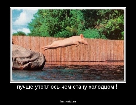 лучше утоплюсь чем стану холодцом ! 