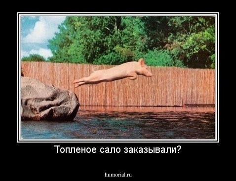 Топленое сало заказывали?