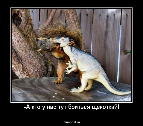 -А кто у нас тут боиться щекотки?!