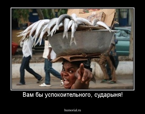 Вам бы успокоительного, сударыня!